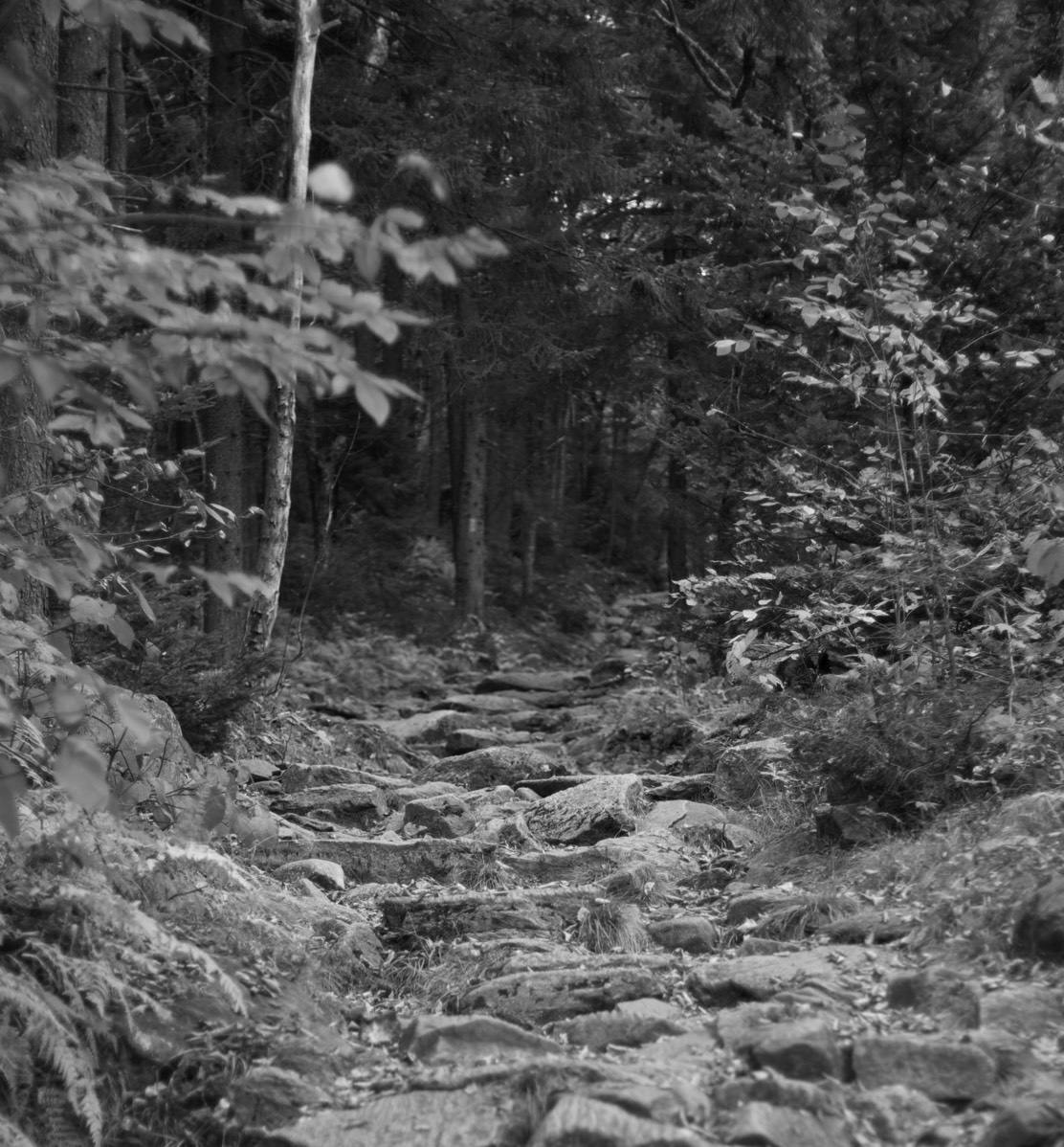 Stacks Image 73